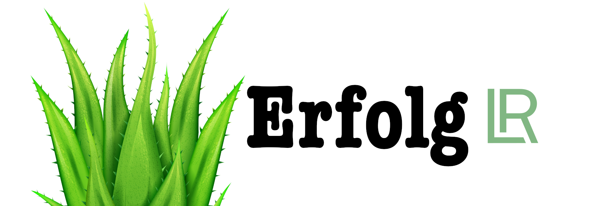 Erfolg mit LR